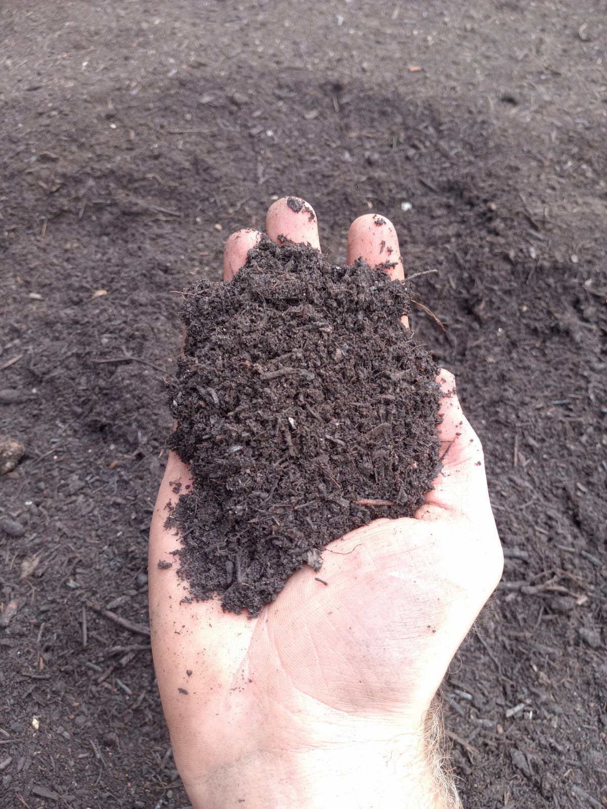 PREMIUM PAS100 Compost